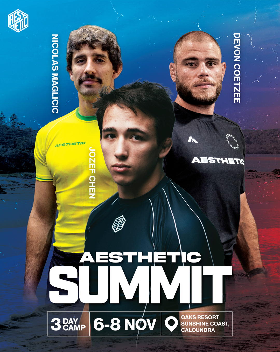 Promotional poster for Aesthetic Summit, featuring three male athletes in athletic wear against a blue-to-red gradient background with text reading 'AESTHETIC SUMMIT', '3 DAY CAMP', '6-8 NOV', and 'OAKS RESORT, SUNSHINE COAST, CALAUNDRA'. Visible brands include Aesthetic and the event branding.