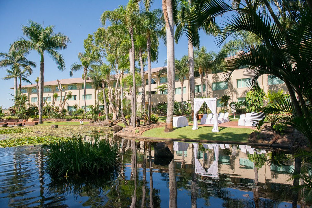 Palm trees and a building reflected in a pond with chairs and a canopy.